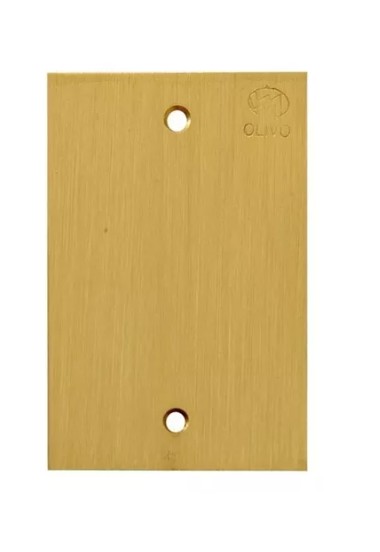 PLACA PISO 4X2 LEVE LATAO ESCOV CEGA